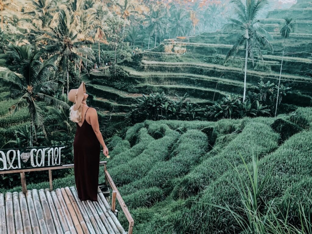 Girl in hat gazing at green rice terrace Bali itinerary