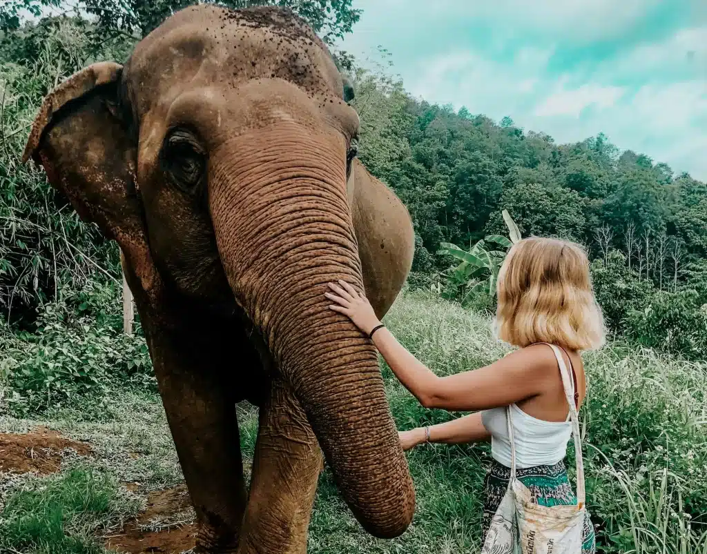 girl petting elephant in Thailand