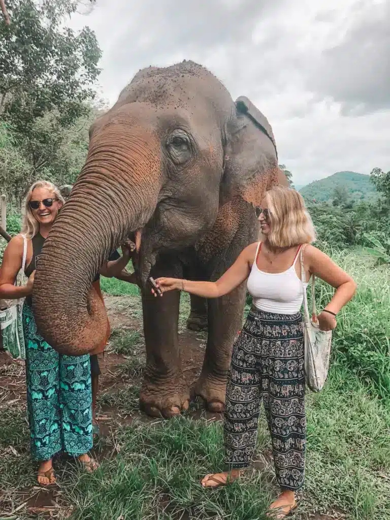 girls petting elephant in Thailand