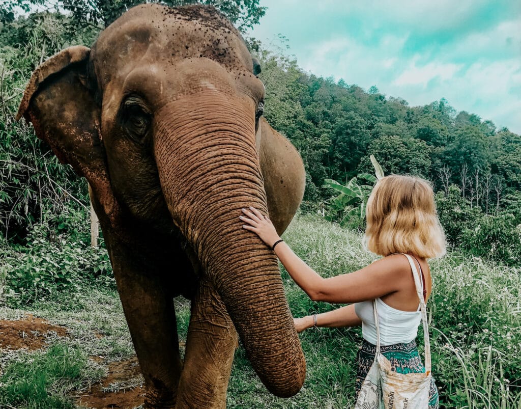 Girl feeding elephant in Thailand 10 day itinerary