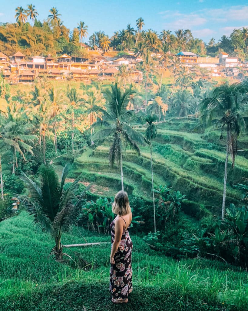 girl standing in front of Balinese rice terrace