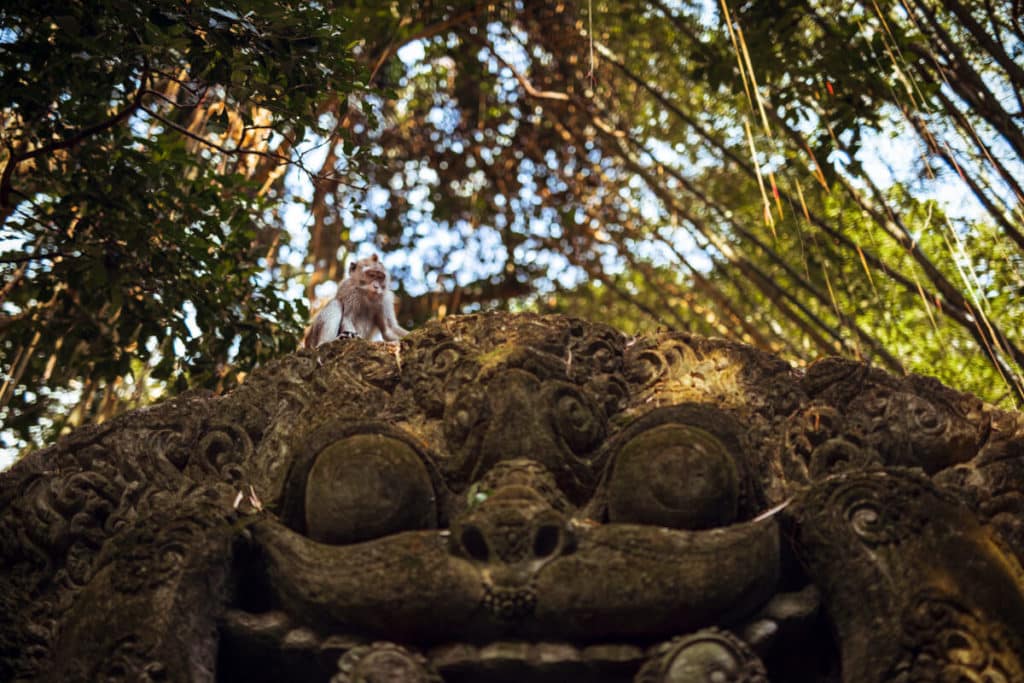 monkey forest Ubud, Bali
