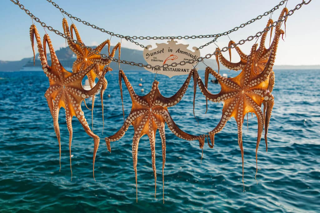 octopus hanging to dry in Santorini, Greece