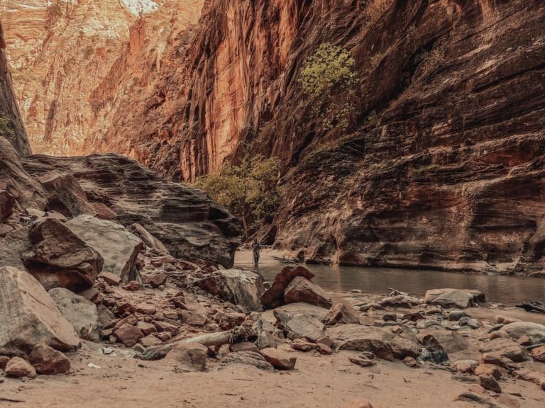 A Beginner’s Guide to Hiking the Narrows in Zion National Park