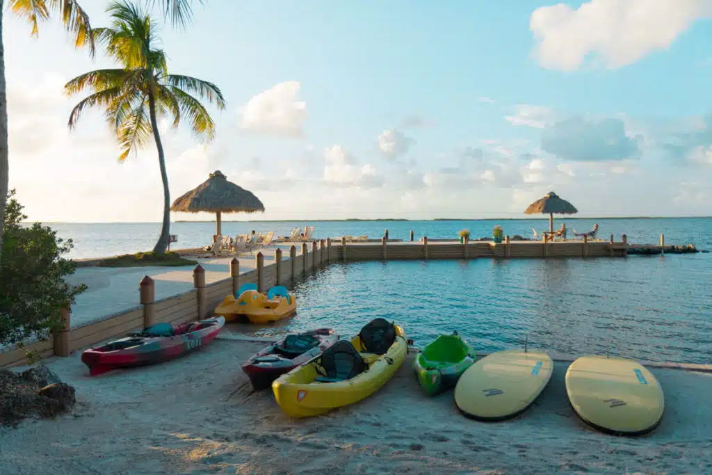 kayaks and paddle boards