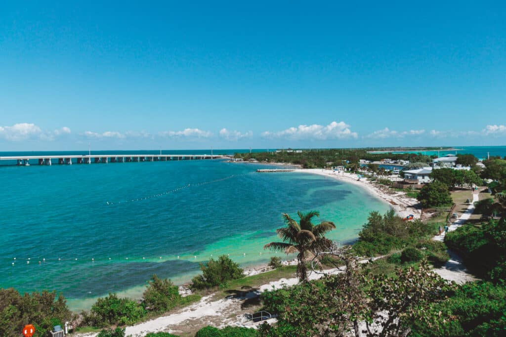 blue green water and palm trees in Bahia Honda State Park