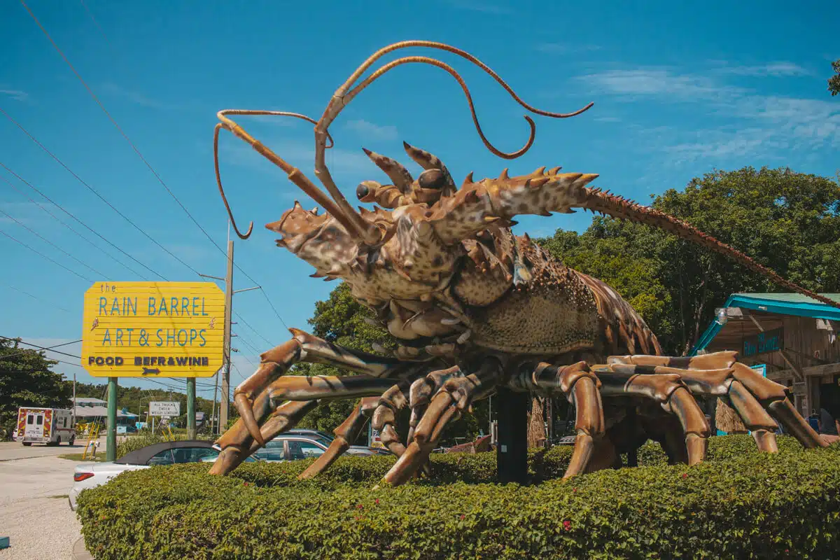 Betsy the Lobster Rain Barrel Islamorada
