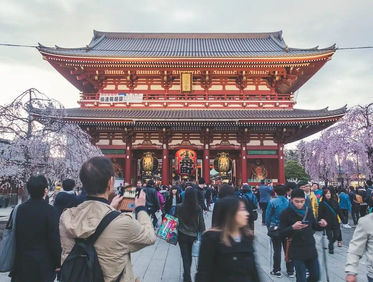 Japan Temple with cherry blossoms