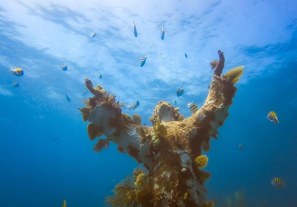 Underwater Christ Statue in Key Largo