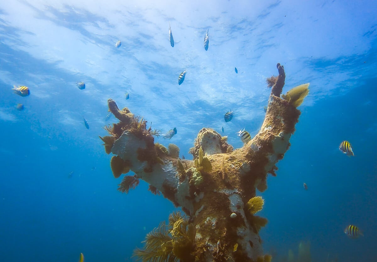 Underwater Christ Statue in Key Largo