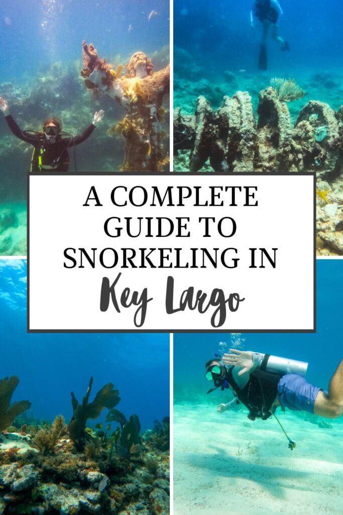 a complete guide to snorkeling Key Largo graphic