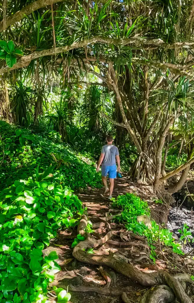 man hiking along the Onomea Bay trail surrounded by lush foliage in Hilo, Hawaii