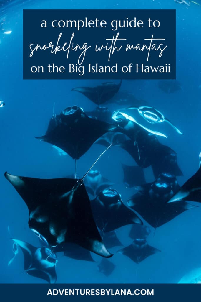 a Complete Guide to snorkeling with Manta Rays on the Big Island