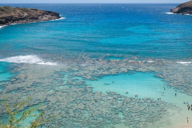 A Complete Guide to Snorkeling at Hanauma Bay on Oahu