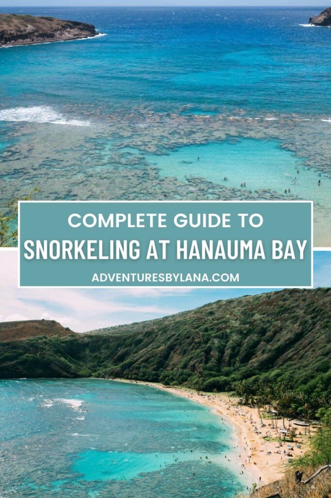 guide to snorkeling at Hanauma Bay graphic