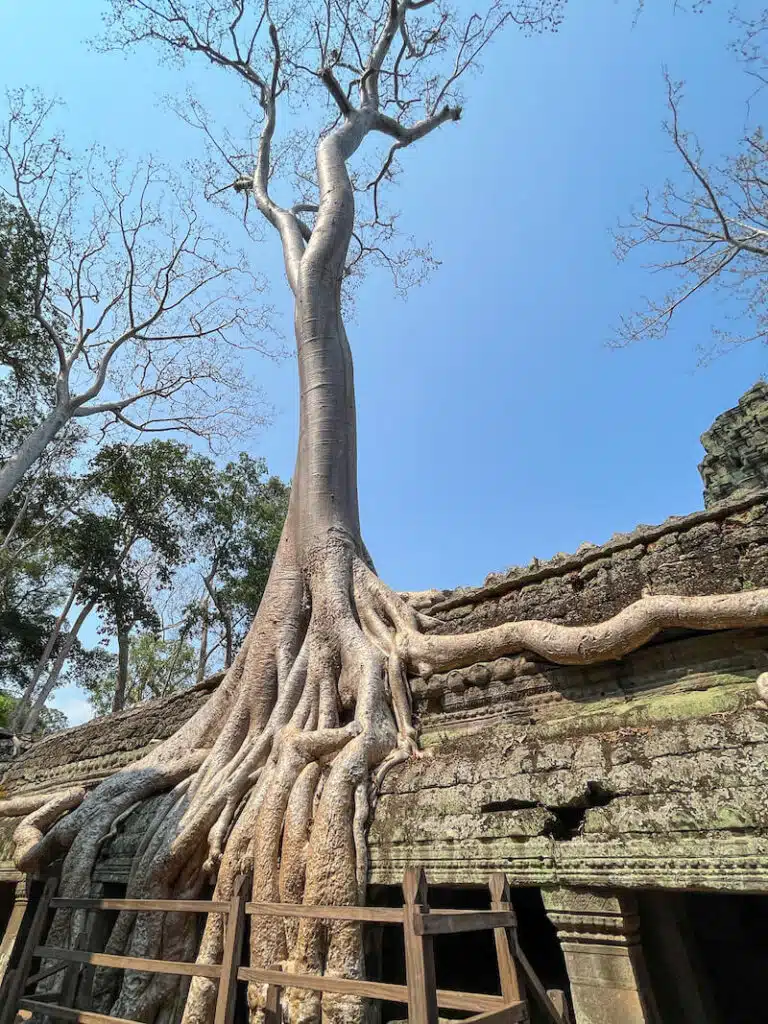 Angkor temple, Cambodia