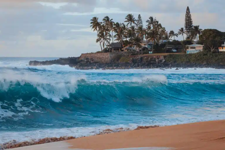 Large waves North Shore of Oahu in Hawaii