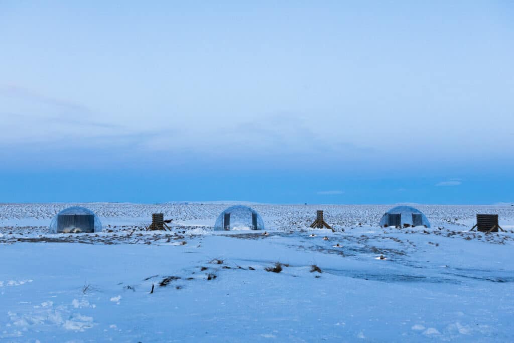Aurora Igloo hotel in Iceland