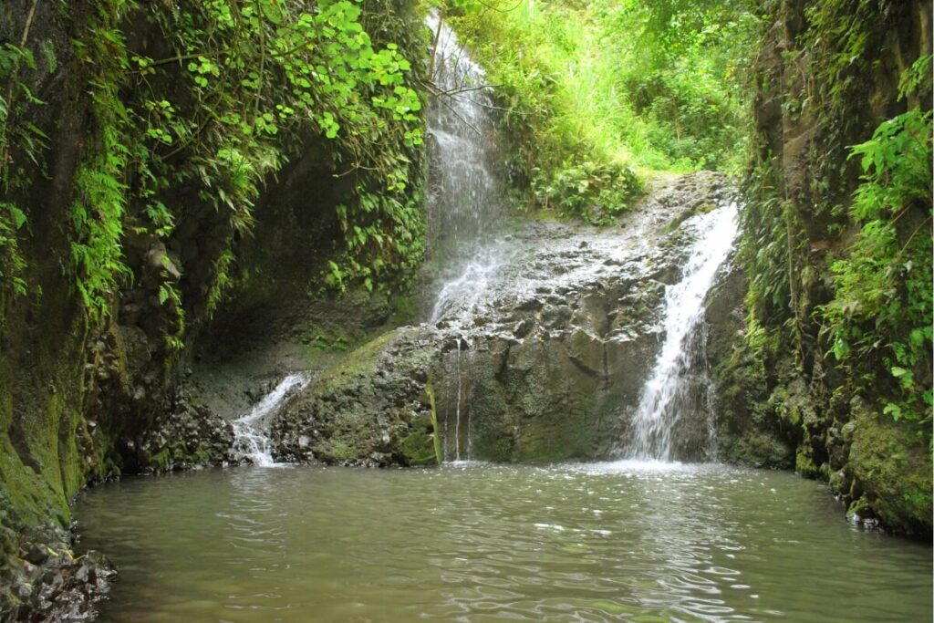 Maunawili Falls Trail