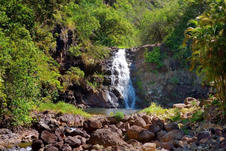 Best Hikes on Oahu with Waterfalls: A Complete Guide