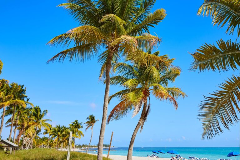 10 FREE Things to Do in Key West, Florida!