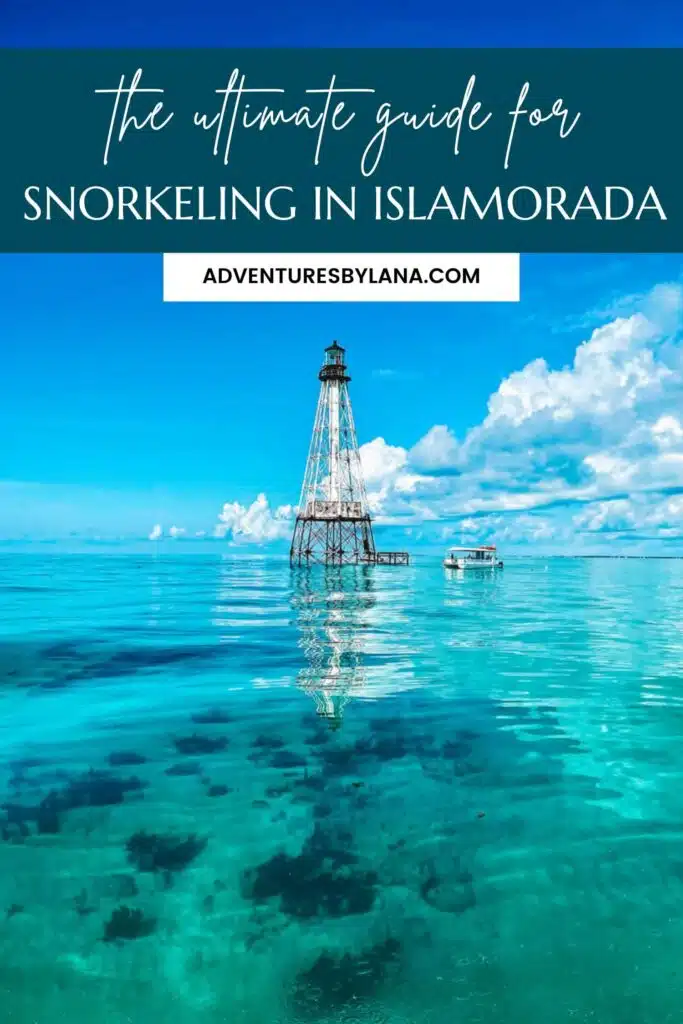 the ultimate guide for snorkeling in islamorada