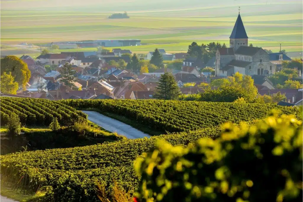Champagne, France, Day Trip from Paris