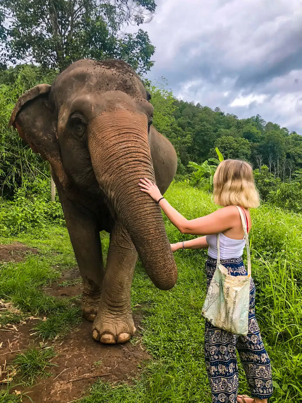 girl petting elephant in Thailand