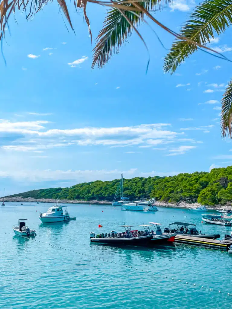 A scenic view of several boats and dinghies anchored in clear blue water near a forested coastline, framed by palm fronds under a bright sky, taken on Palmižana Beach in the Pakleni Islands in Croatia.