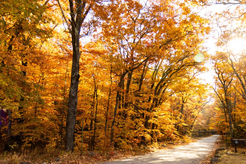 fall foliage at Albany Covered Bridge in White Mountains New Hampshire