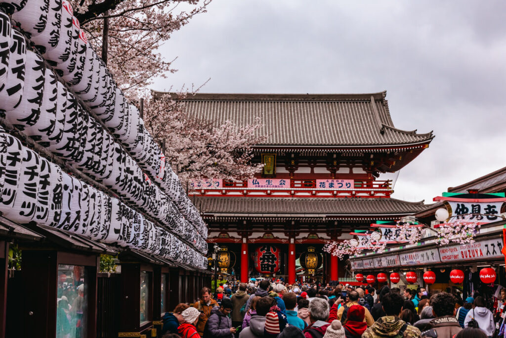 A large crowd gathers at the entrance of Senso-ji Temple in Asakusa, Tokyo, during spring. Rows of traditional white paper lanterns with bold Japanese calligraphy line the walkway. Cherry blossoms bloom around the temple’s grand wooden structure, adding vibrant seasonal beauty to the overcast day.