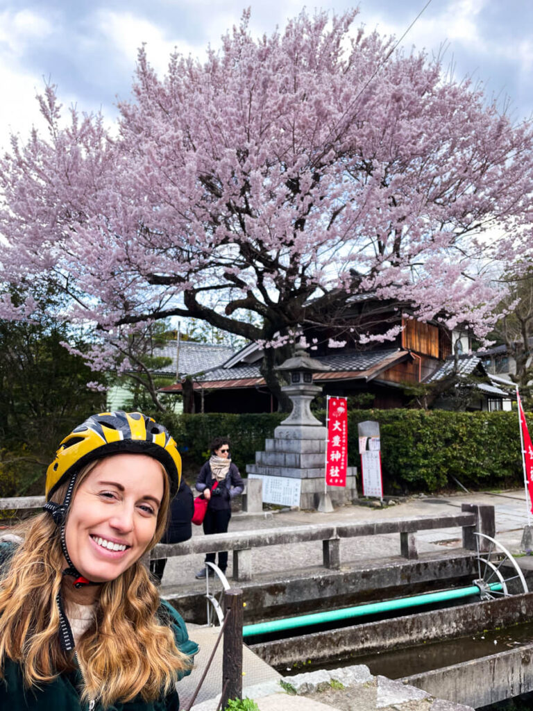 A woman in a yellow bike helmet smiles while taking a break along the Philosopher’s Path in Kyoto. Behind her, a magnificent cherry blossom tree bursts with soft pink flowers, towering over a stone lantern and canal.