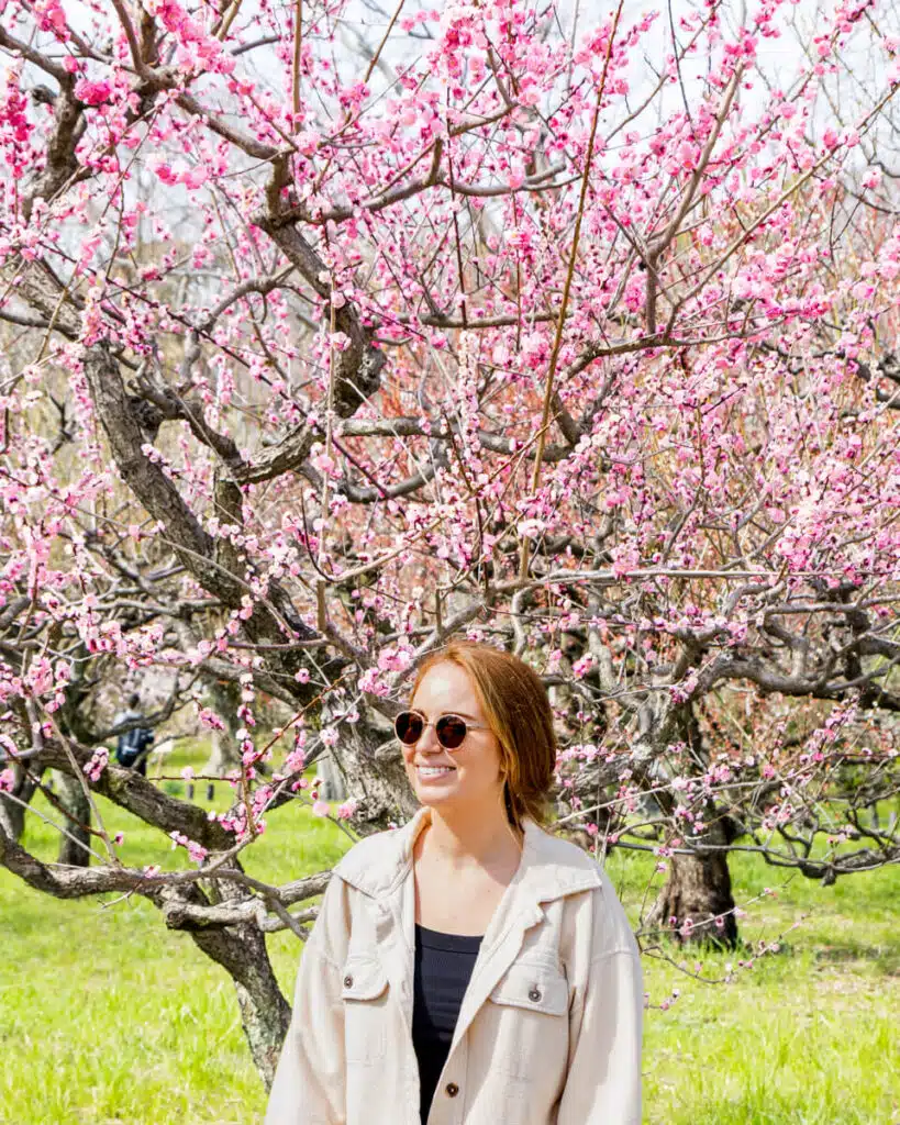 A woman wearing sunglasses and a light jacket smiles while standing in front of blooming pink plum trees in a sunny orchard with fresh green grass. The twisted branches are covered in delicate flowers, creating a vibrant and cheerful spring atmosphere.