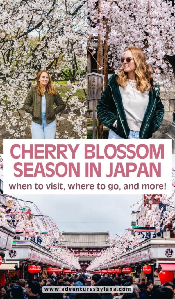 A collage of cherry blossom photos featuring a smiling woman under sakura trees and a bustling market street in Tokyo, with bold text overlay reading “Cherry Blossom Season in Japan – when to visit, where to go, and more!”