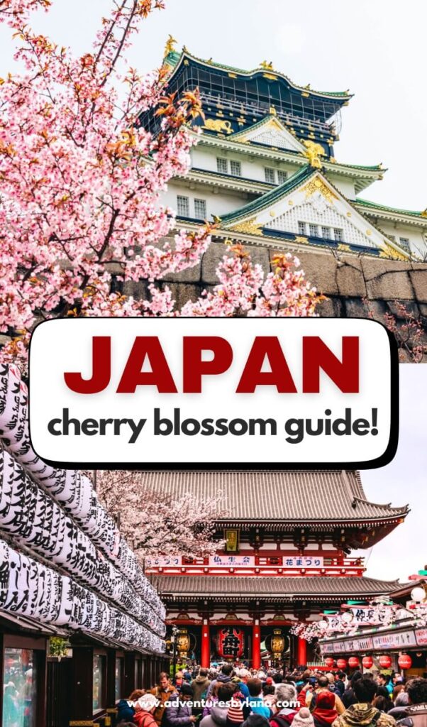 A vibrant graphic with cherry blossoms near Osaka Castle and a crowded shrine path in Tokyo, overlaid with the bold title “Japan Cherry Blossom Guide,” offering travel tips for cherry blossom season in Japan.