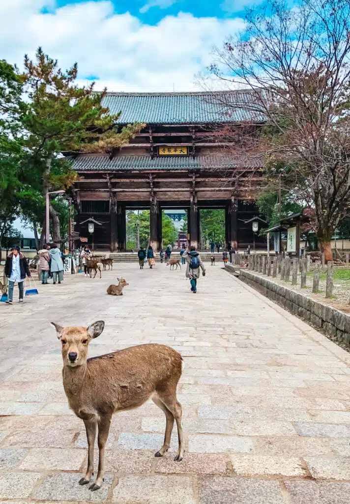 A deer stands in the foreground on a wide stone path leading to the large wooden gate of Todai-ji Temple in Nara, Japan, with several more deer and visitors walking or sitting in the background.