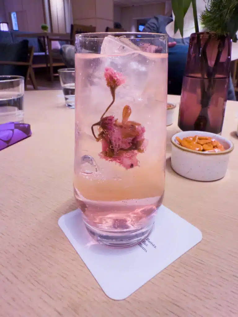 A clear glass of sparkling pink drink with ice and a preserved cherry blossom inside, served on a wooden table—an elegant refreshment enjoyed during sakura season in Japan.