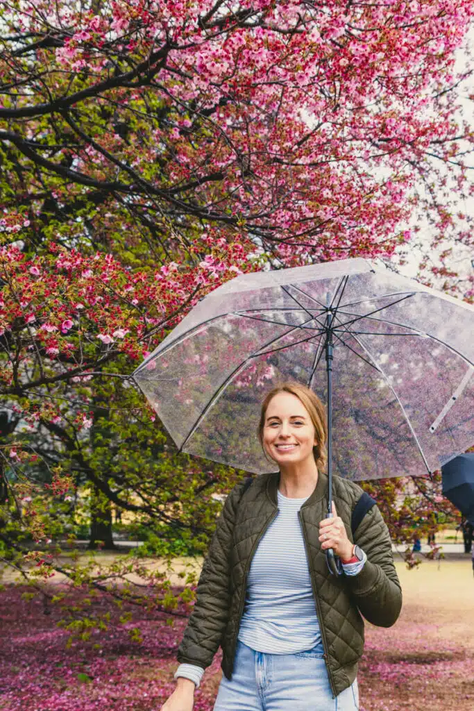 A woman smiles under a clear umbrella in front of deep pink cherry blossoms in Shinjuku Gyoen during sakura season in Japan.
