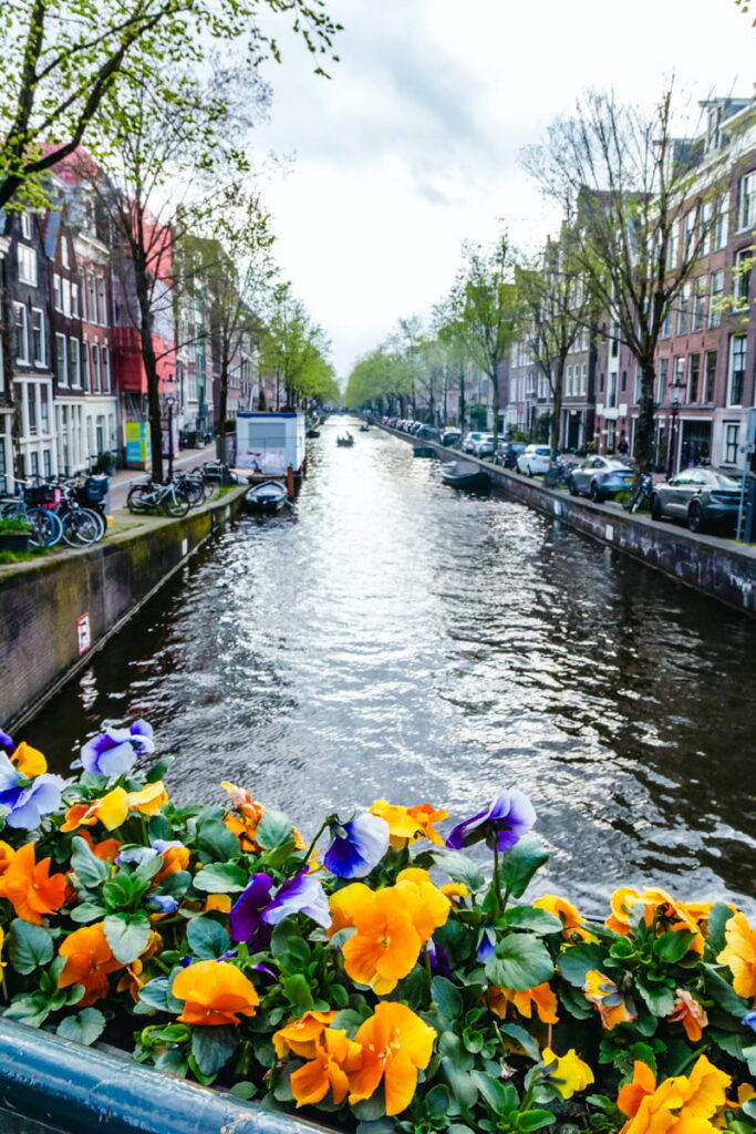 Bright orange and purple flowers in the foreground overlook an Amsterdam canal lined with trees, boats, and historic buildings. The perspective from a bridge adds depth to the scenic city view.