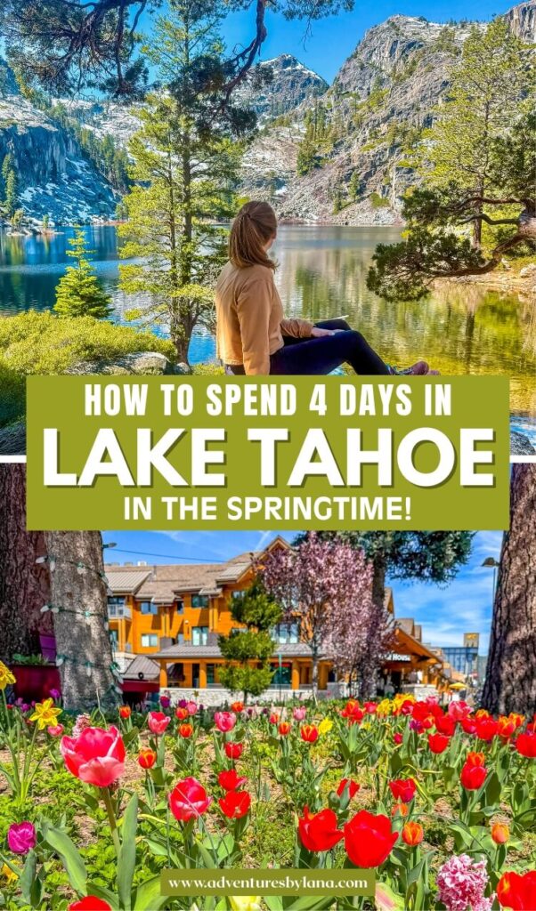 Scenic lake and mountain views with spring flowers and a person by the water featuring text "HOW TO SPEND 4 DAYS IN LAKE TAHOE IN THE SPRINGTIME!"