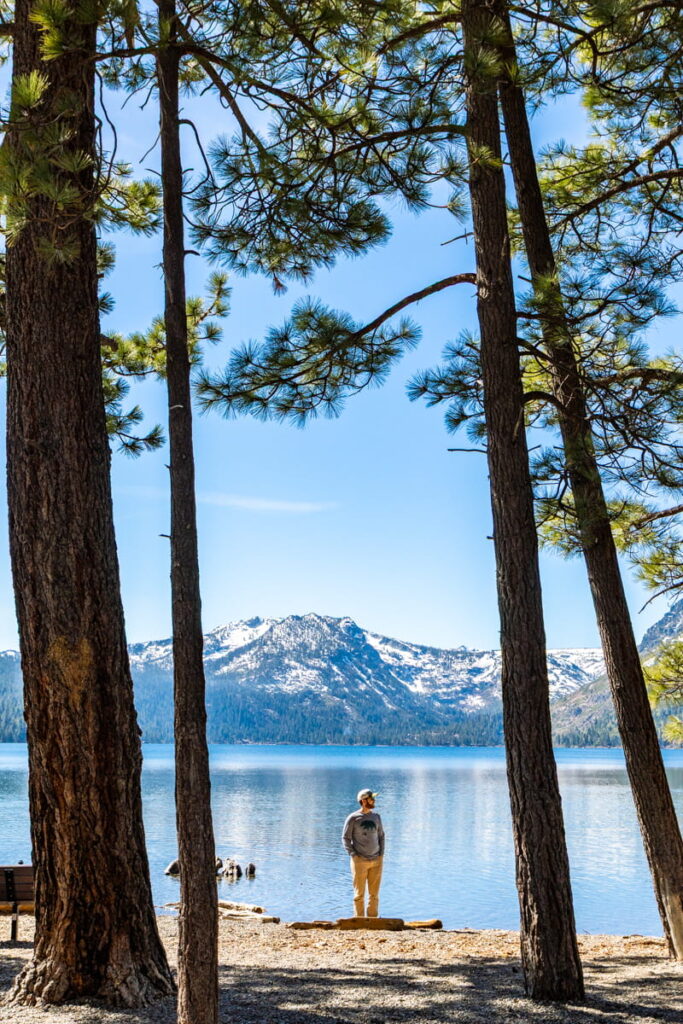 Tall pine trees frame a person standing on the shore of Fallen Leaf Lake in Lake Tahoe with calm blue water and snowy mountains behind them