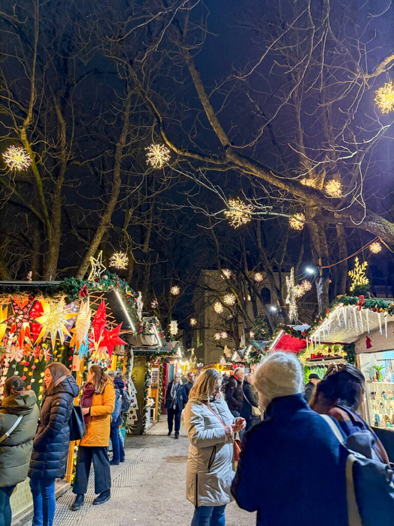 Shoppers browsing wooden Christmas market stalls at night under bare trees hung with glowing star lights. Taken at the Basel Munsterplatz Christmas Market in Switzerland